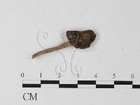 登錄號:F0004404藏品圖，第1張