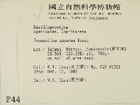 登錄號:F0004407藏品圖，第2張