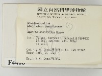 登錄號:F0004408藏品圖，第2張