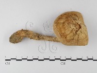 登錄號:F0004408藏品圖，第1張