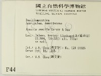 登錄號:F0004411藏品圖，第2張