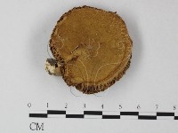 登錄號:F0004412藏品圖，第3張