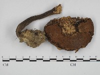 登錄號:F0004413藏品圖，第3張