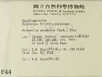 登錄號:F0004414藏品圖，第2張