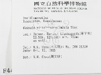 登錄號:F0004415藏品圖，第2張