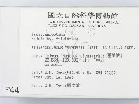 登錄號:F0004416藏品圖，第2張