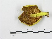 登錄號:F0004416藏品圖，第3張