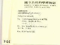 登錄號:F0004417藏品圖，第2張
