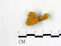 登錄號:F0004417藏品圖，第1張