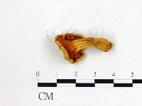 登錄號:F0004417藏品圖，第3張