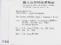 登錄號:F0004418藏品圖，第2張