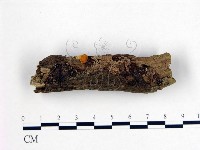 登錄號:F0004418藏品圖，第1張