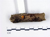 登錄號:F0004418藏品圖，第3張