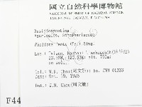 登錄號:F0004419藏品圖，第2張