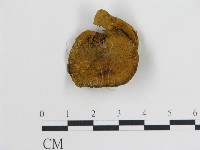 登錄號:F0004420藏品圖，第1張