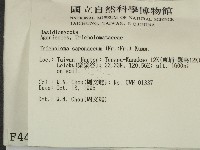 登錄號:F0004423藏品圖，第2張