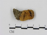 登錄號:F0004426藏品圖，第1張