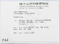 紅菇屬藏品圖，第2張