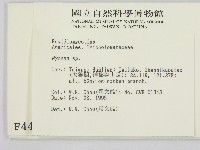 小菇屬藏品圖，第2張