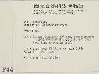 小菇屬藏品圖，第2張