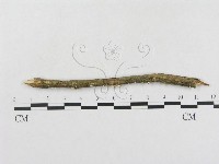 登錄號:F0004430藏品圖，第4張