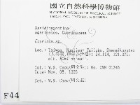 鬼傘屬藏品圖，第2張