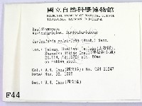 毛木耳藏品圖，第2張