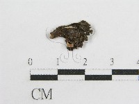 登錄號:F0004433藏品圖，第1張