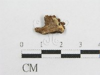 登錄號:F0004433藏品圖，第3張