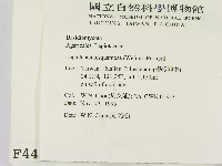 登錄號:F0004435藏品圖，第2張