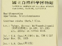 登錄號:F0004438藏品圖，第2張