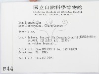 登錄號:F0004439藏品圖，第2張