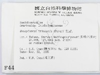 登錄號:F0004441藏品圖，第2張