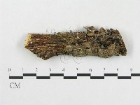 登錄號:F0004441藏品圖，第1張