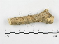 登錄號:F0004442藏品圖，第1張