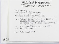 登錄號:F0004444藏品圖，第2張