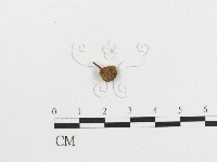 登錄號:F0004444藏品圖，第1張