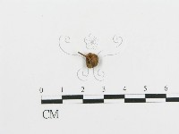 登錄號:F0004444藏品圖，第3張