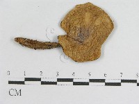 登錄號:F0004445藏品圖，第1張