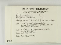 登錄號:F0004446藏品圖，第2張