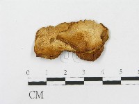 登錄號:F0004447藏品圖，第3張