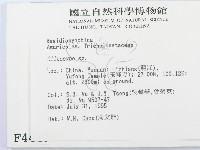 杯傘屬藏品圖，第2張