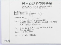 紅菇屬藏品圖，第2張