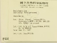 登錄號:F0004451藏品圖，第2張