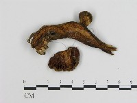 登錄號:F0004451藏品圖，第1張