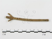 登錄號:F0004455藏品圖，第1張