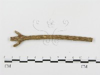 登錄號:F0004455藏品圖，第3張