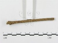 登錄號:F0004455藏品圖，第4張