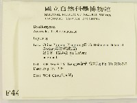 登錄號:F0004456藏品圖，第2張