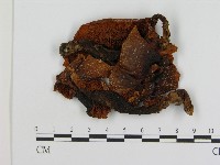 登錄號:F0004456藏品圖，第3張